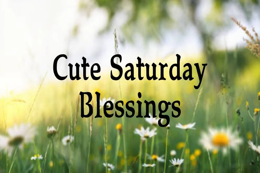 cute saturday blessings