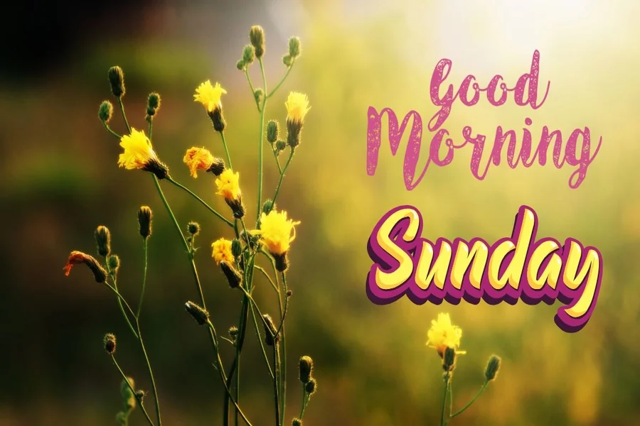 sunday morning greetings
